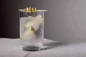 Gin Tonic mit Kardamom